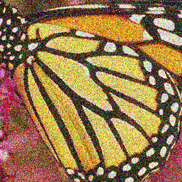 butterfly.png